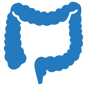 Proktolog